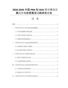 2026-2030中国PNH和AHU行业市场发展趋势与前景展望战略研究报告