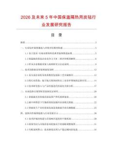 2026及未来5年中国保温隔热用炭毡行业发展研究报告
