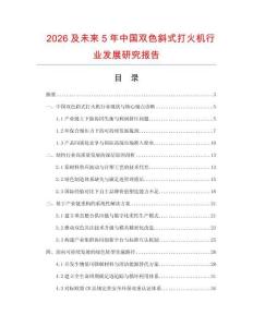 2026及未来5年中国双色斜式打火机行业发展研究报告