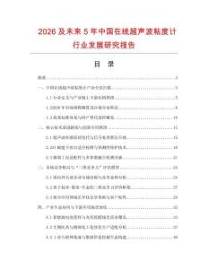 2026及未来5年中国在线超声波粘度计行业发展研究报告