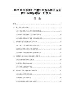 2026中国液体化工进出口贸易物流通道优化与国际对标分析报告