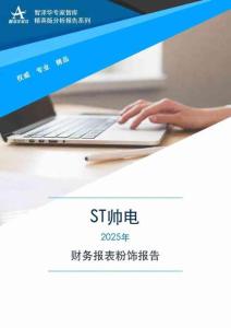 605336ST帥電2025年財務報表粉飾報告
