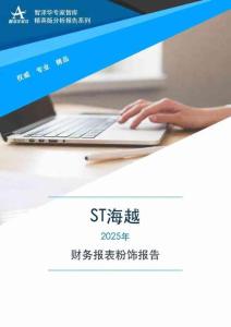 600387ST海越2025年财务报表粉饰报告