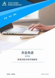 688234天岳先進2025年財務風險分析詳細報告