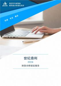 300050世紀鼎利2025年財務分析結論報告