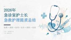 2026 年急诊室护士长急救护理提质总结