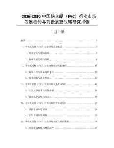 2026-2030中国快攻艇（FAC）行业市场发展趋势与前景展望战略研究报告