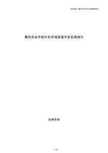 重庆企业开拓中东市场渠道开发实操指引