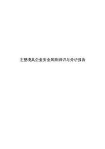 注塑模具企业安全风险辨识与分析报告