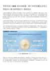 智研咨询报告：全球硫酸二钠产业产销贸易态势及重点国家出口分析研究（2026版）