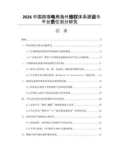 2026中国跨境电商海外维权体系建设与平台责任划分研究