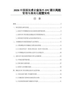 2026中国膜技术企业海外EPC项目风险管理与属地化经营策略