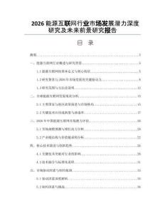 2026能源互联网行业市场发展潜力深度研究及未来前景研究报告