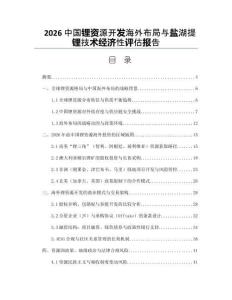 2026中国锂资源开发海外布局与盐湖提锂技术经济性评估报告