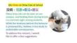 高中英语精品课件：投喂流浪猫短文投稿