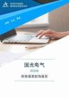 688776國光電氣2025年財務報表粉飾報告