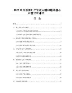 2026中国液体化工管道运输网络建设与运营效益评估