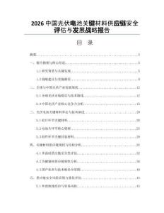2026中国光伏电池关键材料供应链安全评估与发展战略报告