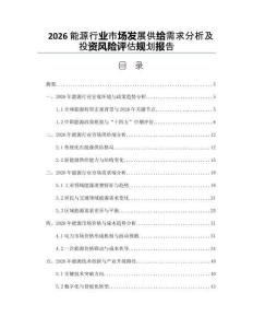 2026能源行业市场发展供给需求分析及投资风险评估规划报告