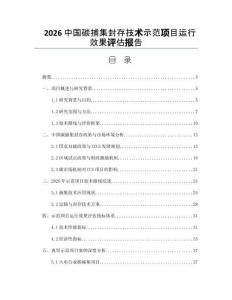 2026中国碳捕集封存技术示范项目运行效果评估报告