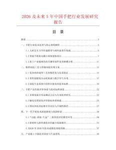 2026及未来5年中国手把行业发展研究报告