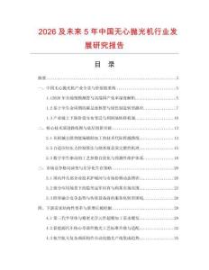2026及未来5年中国无心抛光机行业发展研究报告