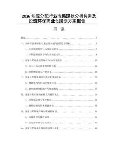 2026能源分配行业市场现状分析供需及投资环保商业化规划方案报告