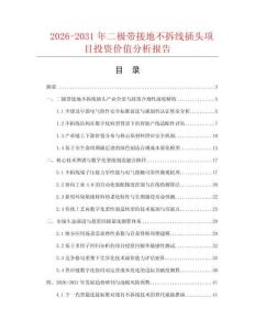 2026-2031年二极带接地不拆线插头项目投资价值分析报告.docx