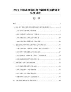 2026中国速食汤料复合调味剂消费场景拓展分析