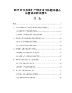 2026中国液体化工物流港口枢纽建设与运营效率提升报告
