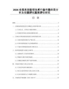 2026金属表面处理技术行业市场供需分析及投资评估发展评估研究