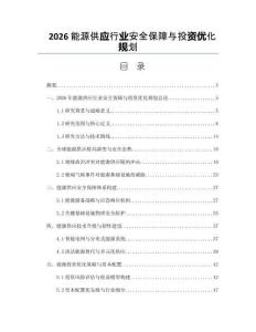 2026能源供应行业安全保障与投资优化规划