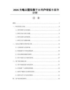 2026充電運營服務平臺用戶增長與留存分析
