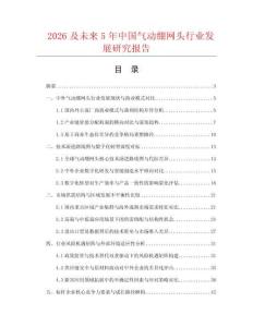 2026及未来5年中国气动绷网头行业发展研究报告