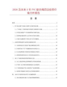2026及未来5年PVC晾衣绳项目投资价值分析报告