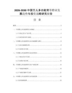2026-2030中国婴儿多功能背带行业发展趋势与投资战略研究报告