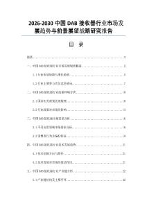 2026-2030中国DAB接收器行业市场发展趋势与前景展望战略研究报告
