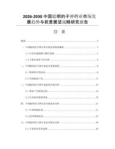 2026-2030中国聪明的子弹行业市场发展趋势与前景展望战略研究报告