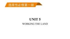 2027届高三英语（人教版）一轮复习课件：选择性必修第一册　UNIT 5　WORKING THE LAND