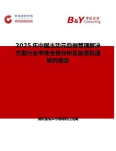 2025年中国主动元数据管理解决方案行业市场全景分析及前景机遇研判报告