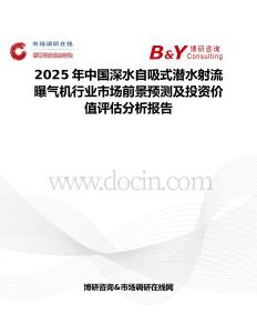 2025年中国深水自吸式潜水射流曝气机行业市场前景预测及投资价值评估分析报告