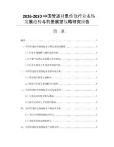 2026-2030中国管道衬里绝缘行业市场发展趋势与前景展望战略研究报告