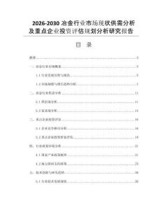 2026-2030冶金行业市场现状供需分析及重点企业投资评估规划分析研究报告