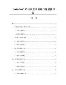 2026-2030不锈铁管项目可行性研究报告