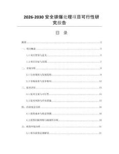 2026-2030安全排爆处理项目可行性研究报告