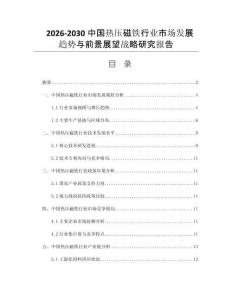 2026-2030中国热压磁铁行业市场发展趋势与前景展望战略研究报告