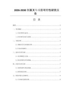 2026-2030侧面叉车项目可行性研究报告