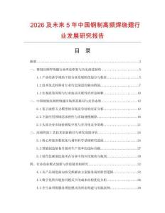 2026及未来5年中国钢制高频焊绕翅行业发展研究报告