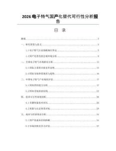 2026电子特气国产化替代可行性分析报告