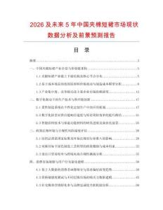 2026及未来5年中国夹棉短裙市场现状数据分析及前景预测报告.docx